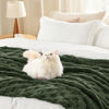 Picture of Bedsure Bronze Green Fleece Blanket for Couch - Super Soft Cozy Queen Blankets for Women, Cute Small Throws for Girls, 90x90 Inches