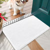 Picture of OLANLY Dog Door Mat for Muddy Paws 24x16, Absorbs Moisture and Dirt, Absorbent Non-Slip Washable Mat, Quick Dry Chenille, Mud Mat for Dogs, Entry Indoor Door Mat for Inside Floor, White