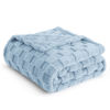 Picture of Bedsure Sea Blue Fleece Blanket for Couch - Super Soft Cozy Twin Blankets for Women, Cute Small Throws for Girls, 60x80 Inches