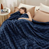 Picture of Bedsure Pageant Blue Fleece Blanket for Couch - Super Soft Cozy Queen Blankets for Women, Cute Small Throws for Girls, 90x90 Inches