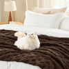 Picture of Bedsure Sugar Brown Fleece Blanket for Couch - Super Soft Cozy Blankets for Women, Cute Small Throws for Girls, 50x60 Inches