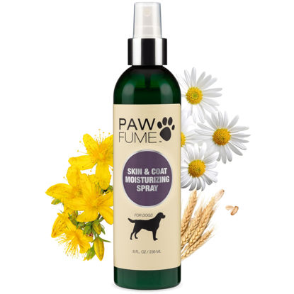 Picture of Pawfume Skin & Coat Moisturizing Spray Dog Lotion for Dry Skin - Dog Conditioner Spray for Dog Skin - Dog Leave in Conditioner Spray for Dog Dry Skin & Dog Itch Relief - Conditioner for Dogs Itch