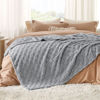 Picture of Bedsure Silver Grey Fleece Blanket for Couch - Super Soft Cozy Queen Blankets for Women, Cute Small Throws for Girls, 90x90 Inches