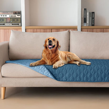 Picture of gogobunny 100% Double Sided Waterproof Dog Blanket Soft Pet Bed Cover Reversible Protect Furniture Couch Sofa Car for Puppy Cat Kids (Dark Blue/Light Blue, 30x80 Inch (Pack of 1))