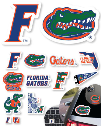 Picture of Florida Gators Stickers (14 Stickers) 2 Large 5" for Car Windows 10 Medium 2.5" for Water Bottles Laptops Phones 2 Mini Keyboard Florida Gators Gift for Men and Women Football Fans (Florida Gators)