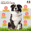 Picture of Natural Dog Company Skin & Coat Oil (16 oz.), Supports Skin Health, Fish Oil Supplements for Dogs, Soft Coat, Fish Oil & Flaxseed Oil, Fatty Acids, Bottle of Dog Fish Oil with Pump, Antioxidant
