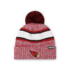 Picture of FOCO Arizona Cardinals NFL Logo Heather Stripe Pom Beanie Hat, Team Color