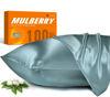 Picture of 100% Mulberry Silk Pillowcase for Hair and Skin, 22 Momme Natural Silk Pillow Case with Zipper, Both Sided Pure Silk Pillow Cover for Women Mom Men (Airy Blue, King 20''×40'')