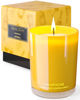 Picture of 96NORTH | Pure Champagne Candle | 100% Natural Soy Wax | One Wick Jar Candle | Natural Fragrance Technology | Non Toxic | Up to 35 Hours Burning Time | Aromatherapy Gift for Men and Women