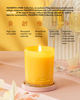 Picture of 96NORTH | Pure Champagne Candle | 100% Natural Soy Wax | One Wick Jar Candle | Natural Fragrance Technology | Non Toxic | Up to 35 Hours Burning Time | Aromatherapy Gift for Men and Women