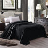 Picture of Exclusivo Mezcla Twin Size Flannel Fleece Velvet Plush Bed Blanket as Bedspread, Coverlet, Bed Cover (60x80 inches, Black) Soft, Lightweight, Warm and Cozy