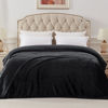 Picture of Exclusivo Mezcla Twin Size Flannel Fleece Velvet Plush Bed Blanket as Bedspread, Coverlet, Bed Cover (60x80 inches, Black) Soft, Lightweight, Warm and Cozy