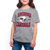 Picture of Junk Food Clothing x NFL - Arizona Cardinals - Team Helmet - Kids Short Sleeve T-Shirt for Boys and Girls - Size Small