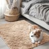 Picture of OLANLY 2x3 Machine Washable Small Bedside Rug, Soft Fluffy Shaggy Entryway Throw Rugs for Bedroom, Living Room, Indoor Floor Carpet for Kids Girls and Boys, Nursery Rooms, Home Decor Aesthetic, Beige
