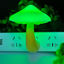 Picture of AUSAYE Led Nigh Light,Plug in Nightlight, Dusk to Dawn Sensor Automatic On and Off Night Lights Green