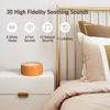 Picture of Nursery Lamp with Sound Machine, Mood Lighting, 7 Colors Night Light, 30 Soothing Sounds, White Noises for Baby, Adults. Timer, Plug in, Memory Function, Touch Control