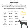 Picture of ShawnCo Essential Dog Harness, No-Pull Pet Vest with 3 Leash Clips, No Choke, Reflective, Adjustable and Padded, for Easy Walking and Training for Small, Medium and Large Dogs (White Sharks, XL)