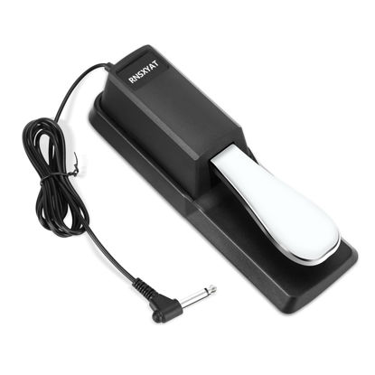 Picture of Sustain Pedal, Sustain Pedal for Keyboard Universal, Premium Piano Pedal for Keyboard with Polarity Switch for MIDI Keyboards, Digital Pianos, Yamaha, Casio and More, 1/4'' Input Plug by RNSXYAT