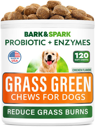 Picture of BARK&SPARK Green Grass Chews - Pee Grass Spot Saver Caused by Dog Urine - Urine Neutralizer for Lawn, Gut Health Probiotics & Digestive Enzymes,Lawn Burn from Dog Urine, Grass Burn Spot Chews, Rocks