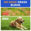Picture of BARK&SPARK Green Grass Chews - Pee Grass Spot Saver Caused by Dog Urine - Urine Neutralizer for Lawn, Gut Health Probiotics & Digestive Enzymes,Lawn Burn from Dog Urine, Grass Burn Spot Chews, Rocks