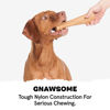 Picture of Barkbox Super Chewer Tough Dog Chew Toys for Aggressive Chewers, Dental Stimulating (PB Bone - Small)