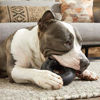 Picture of Barkbox Super Chewer Tough Dog Chew Toys for Aggressive Chewers, Dental Stimulating (Radius - Large)