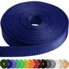 Picture of TECEUM 2 Inch Webbing - Royal Blue - 10 Yards - 2” Heavy-Duty Wide Webbing for Climbing Outdoors Indoors Crafting DIY nw