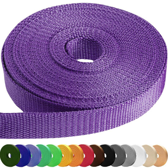 Picture of TECEUM 1 Inch Webbing - Purple - 10 Yards - 1” Webbing for Climbing Outdoors Indoors Crafting DIY nw