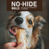 Picture of Earth Animal No Hide Small Long Lasting Dog Chew Rolls, Salmon, 2 Count Pack of 1