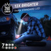 Picture of Energizer LED Headlamp PRO (2-Pack), IPX4 Water Resistant Headlamps, High-Performance Head Light for Outdoors, Camping, Running, Storm, Survival LED Light for Emergencies (Batteries Included)