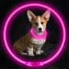 Picture of Led Dog Collar, BSEEN USB Rechargeable Flash Dog Necklace Light, Pet Safety Collar Makes Your Beloved Dogs Be Seen at Night for Small Medium Large Dogs(Pink)