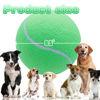 Picture of Banfeng Large Dog Tennis Ball,9.5" Giant Doy Sport Ball Toy,Pet Birthday Present Interactive Dog Toys for Small Medium Large Dog (Green)