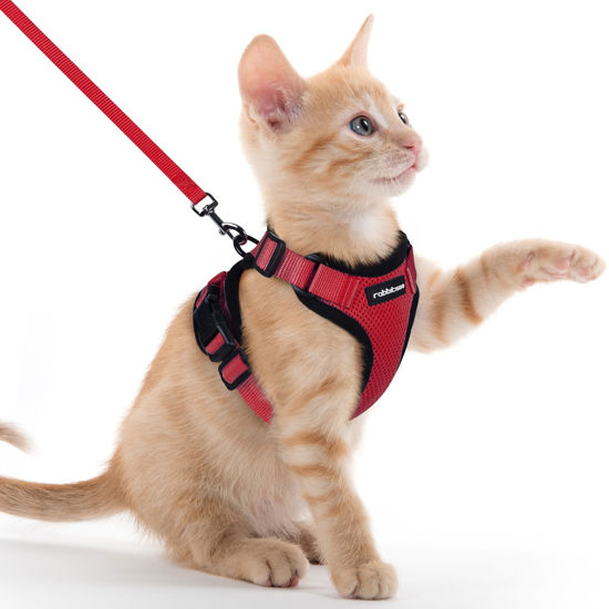Picture of rabbitgoo Cat Harness and Leash for Walking, Escape Proof Soft Adjustable Vest Harnesses for Cats, Easy Control Breathable Reflective Strips Jacket, Red, XXS