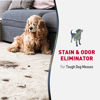 Picture of Nature's Miracle Nature’s Miracle Advanced Stain And Odor Eliminating Wipes for Hard Surfaces 30 Count, Enzymatic Formula Eliminates Tough Pet Messes