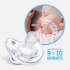 Picture of Chicco PhysioForma 100% Soft Silicone One Piece Pacifier for Babies 16-24 Months | BPA & Latex Free | Reusable Case | Blue/Green, 2pk