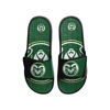 Picture of FOCO Colorado State Rams NCAA Mens Colorblock Big Logo Gel Slides - M