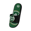 Picture of FOCO Colorado State Rams NCAA Mens Colorblock Big Logo Gel Slides - M
