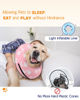 Picture of Supet Inflatable Dog Cone Collar Alternative after Surgery, Dog Neck Donut Collar Recovery E Collar for Post Surgery, Soft Dog Cone for Small Medium Puppies