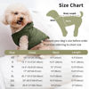 Picture of Vecomfy Fleece Lining Extra Warm Dog Hoodie in Winter for Large Dogs Jacket Pet Coats with Hooded Green XXL