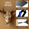 Picture of MSSOHKAN European Mount Skull Hanger Deer Skull Mount for Deer Mule Antelope Coyote and Small Game Animals with Silicone Protector Blue 3 Pack