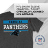 Picture of Team Fan Apparel NFL Adult Team Block Tagless T-Shirt - Cotton Blend - Charcoal - Perfect for Game Day - Comfort and Style (Carolina Panthers - Charcoal, Adult XX-Large)