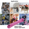 Picture of Hi Kiss Check Cord Large,Medium Small Dogs/Puppy Obedience Recall Training Agility Lead - 15ft 20ft 30ft 50ft Training Leash(Pink 15ft-Diam 1/2"-1 Hook)