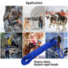 Picture of Hi Kiss Check Cord Large,Medium Small Dogs/Puppy Obedience Recall Training Agility Lead - 15ft 20ft 30ft 50ft Training Leash(Royal Blue 30ft-Diam 1/2"-1 Hook)