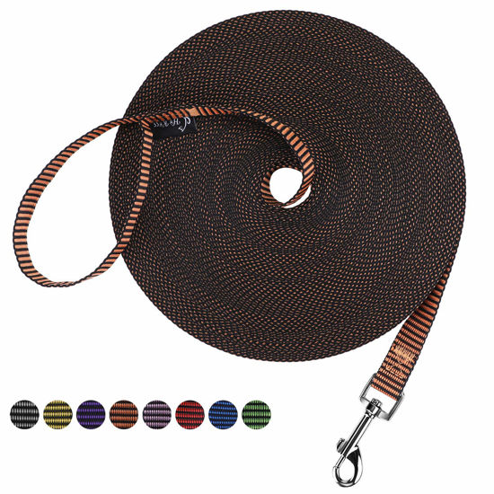 Picture of Hi Kiss Dog/Puppy Obedience Recall Training Agility Lead - 15ft 20ft 30ft 50ft 100ft Training Leash - Great for Training, Play, Camping, or Backyard(50ft,Black_Orange)