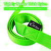 Picture of HIKISS Long Dog Leash Obedience Recall Training Agility Lead with Thickening Material for Large Dog - 15ft 20ft 30ft 50ft 100ft Training Leash(Green 20ft)