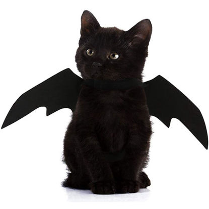 Picture of QIYADIN Pet Cat Bat Wings for Halloween Party Decoration, Dog Cosplay Bat Costume,Puppy and Cat Dress Up Accessories (Black, Large)