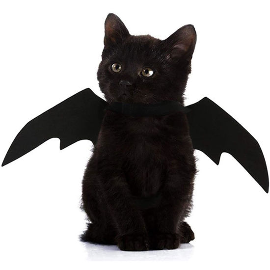 Picture of QIYADIN Pet Cat Bat Wings for Halloween Party Decoration, Dog Cosplay Bat Costume,Puppy and Cat Dress Up Accessories (Black, Large)