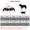 Picture of QIYADIN Pet Cat Bat Wings for Halloween Party Decoration, Dog Cosplay Bat Costume,Puppy and Cat Dress Up Accessories (Black, Large)