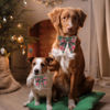 Picture of ADOGGYGO Christmas Dog Collar with Bow, Plaid Xmas Dog Bowtie Collar, Adjustable Green Dog Christmas Collars for Small Medium Large Dogs Pets (Medium, Green)