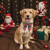 Picture of ADOGGYGO Christmas Dog Collar with Bow, Plaid Xmas Dog Bowtie Collar, Adjustable Green Dog Christmas Collars for Small Medium Large Dogs Pets (Large, Green)